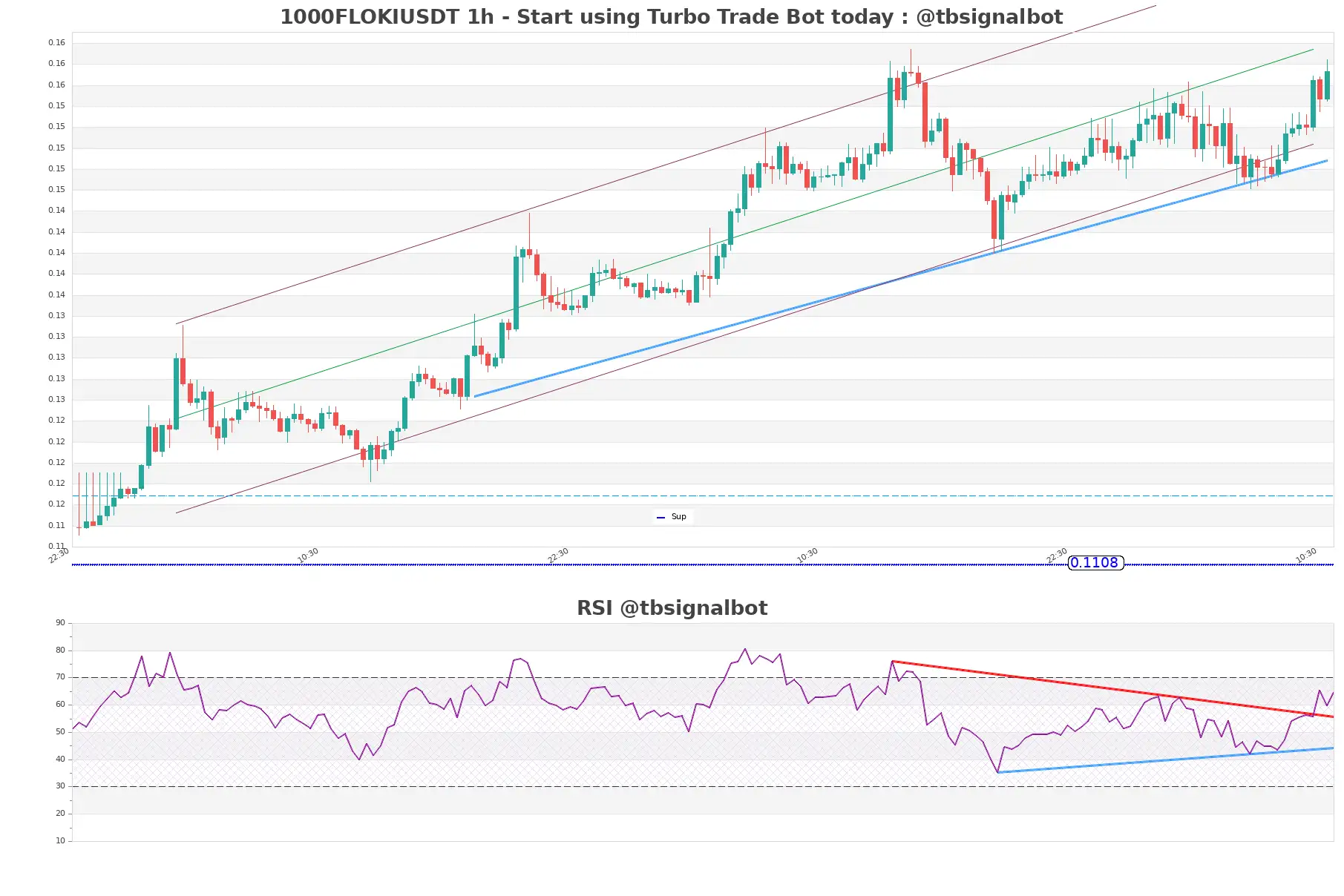 1000FLOKIUSDT_1h