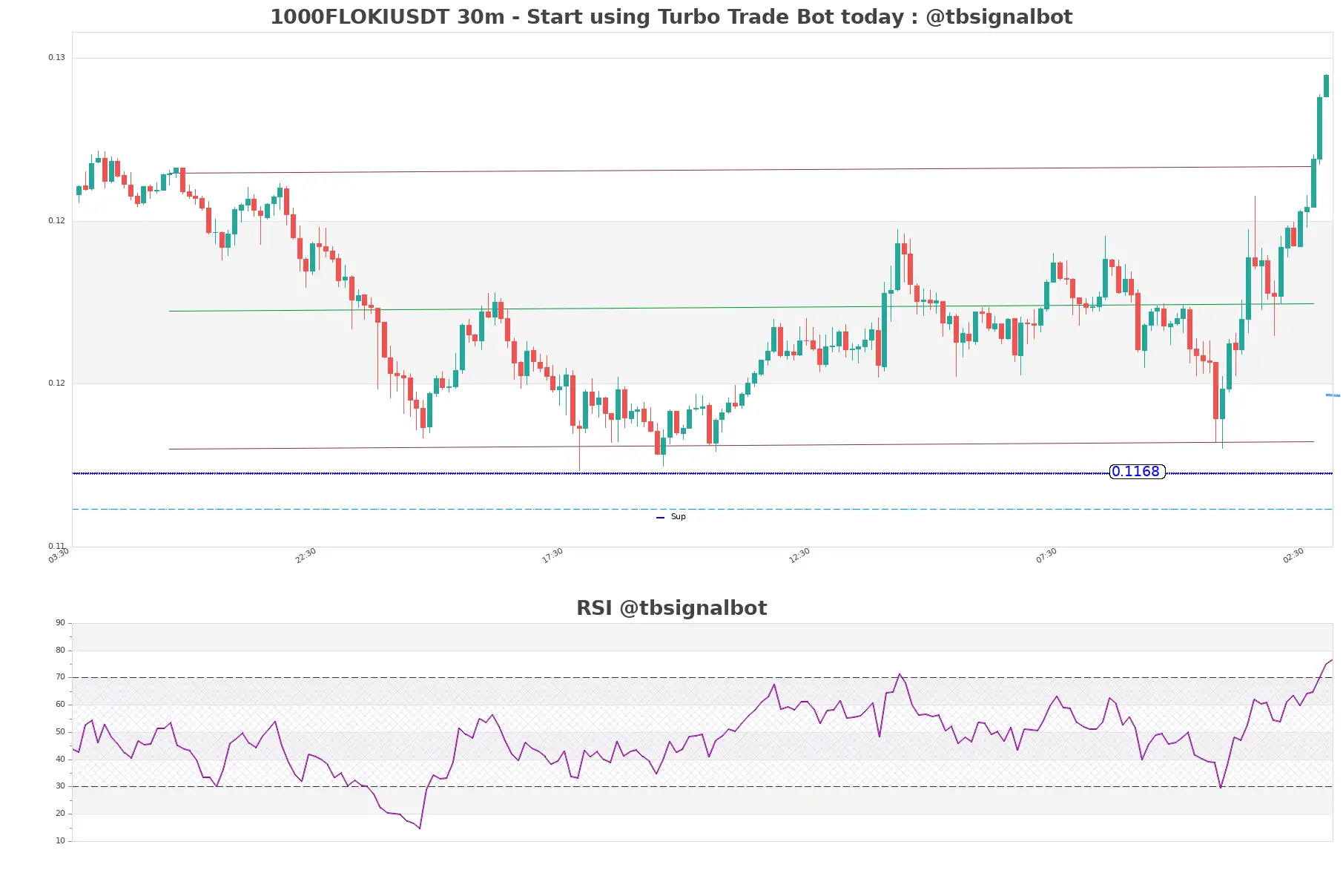 1000FLOKIUSDT_30m
