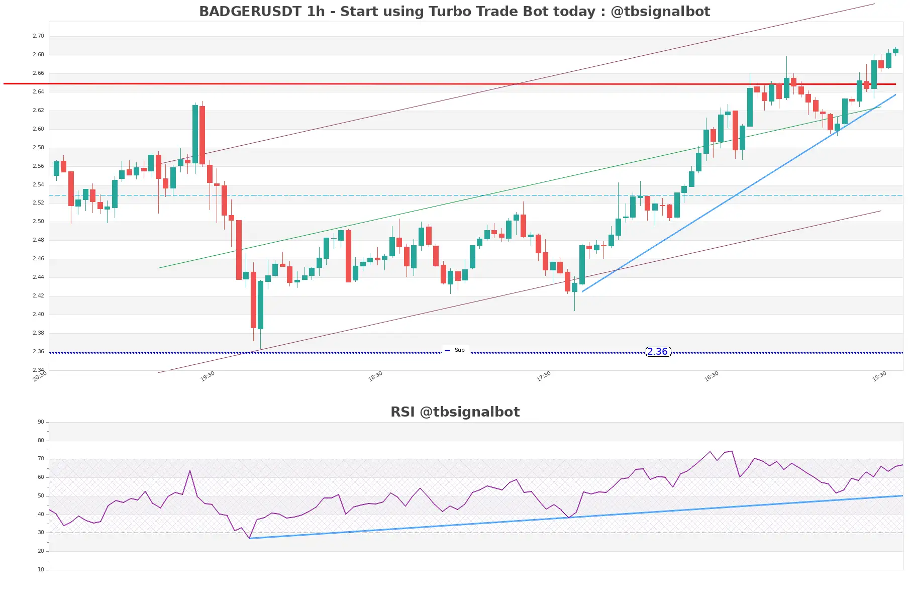 BADGERUSDT_1h