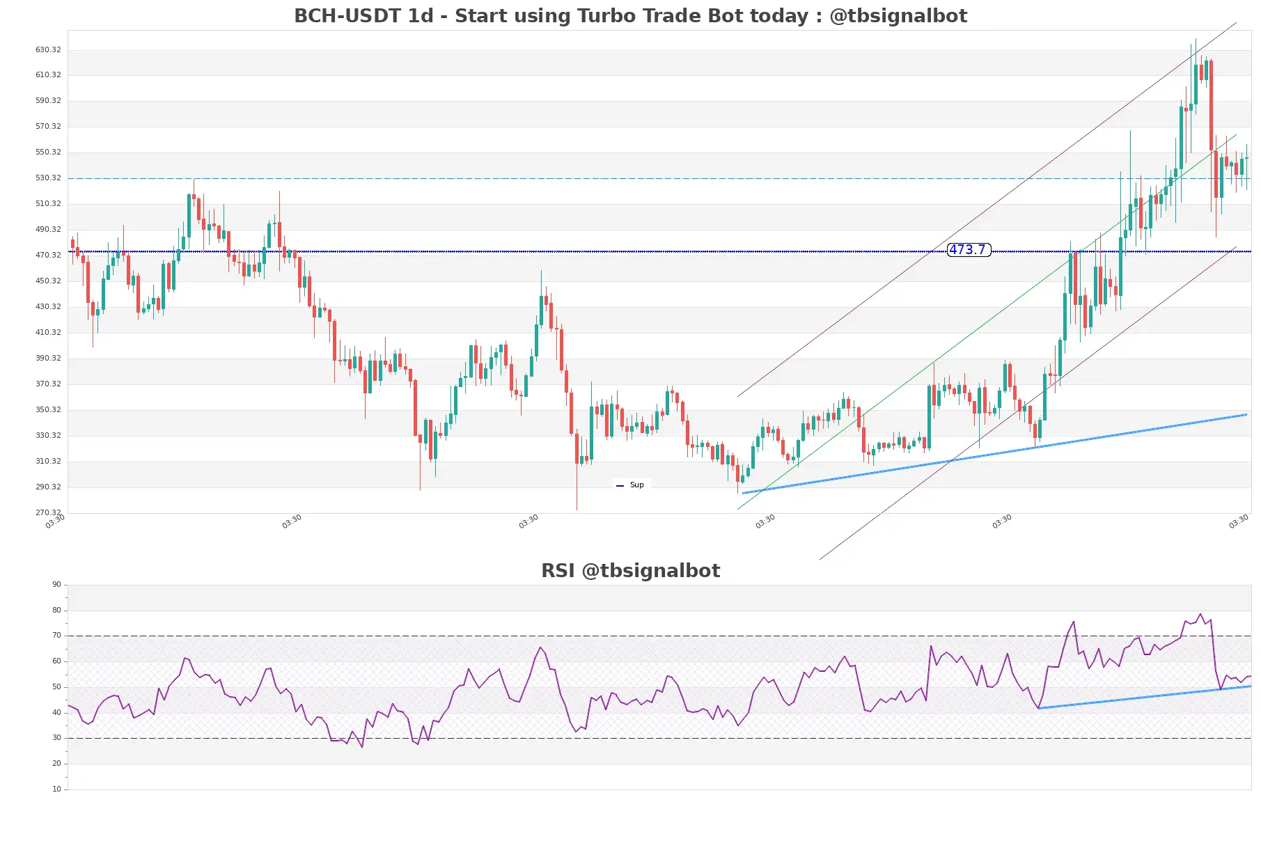 BCH-USDT_1d