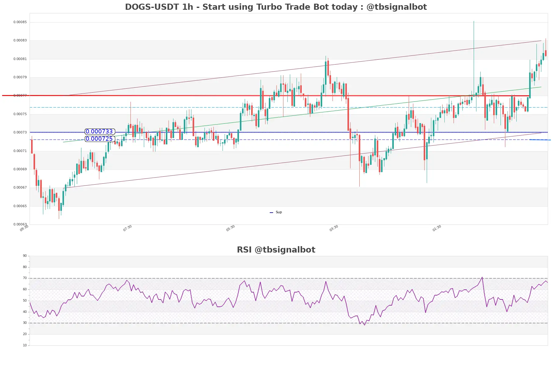 DOGS-USDT_1h