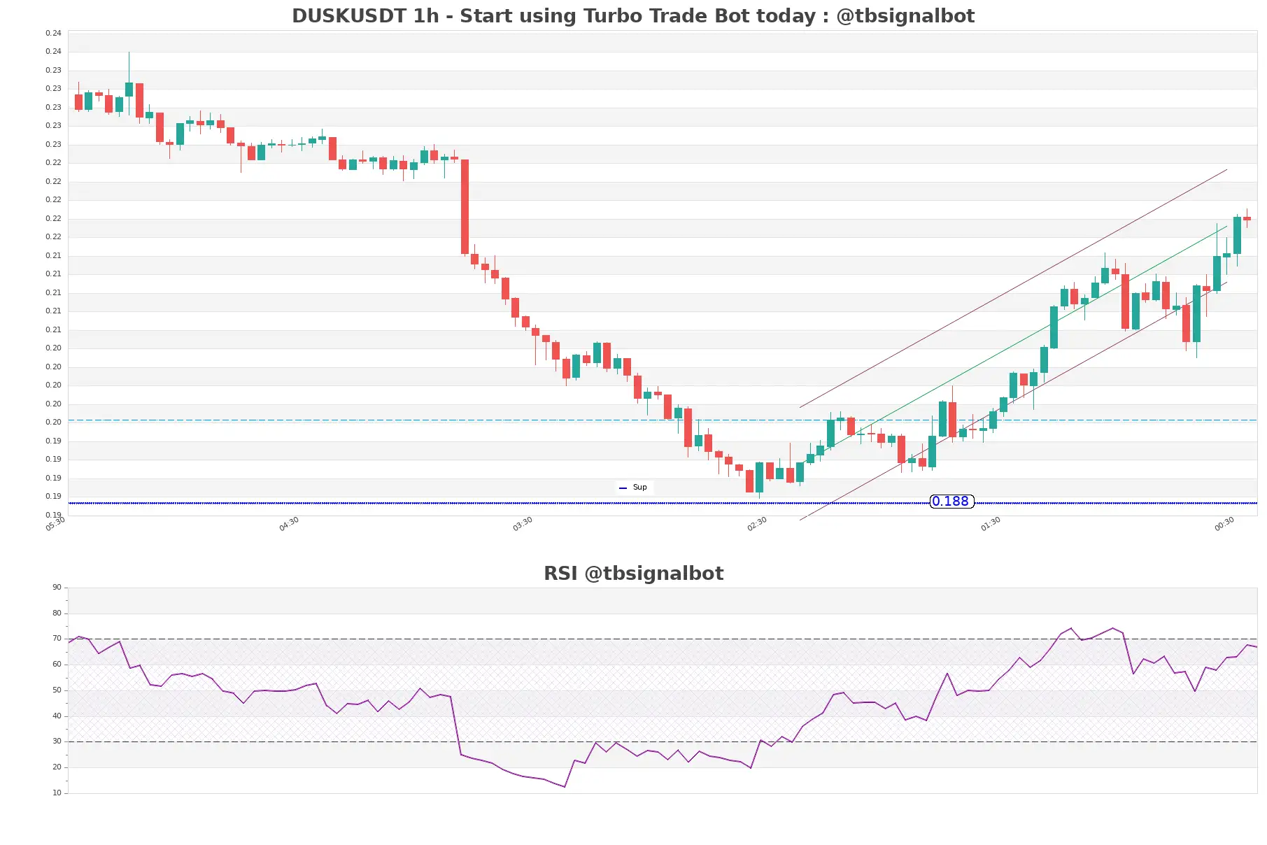 DUSKUSDT_1h