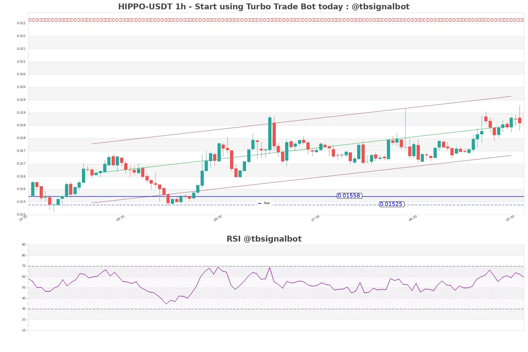 HIPPO-USDT_1h