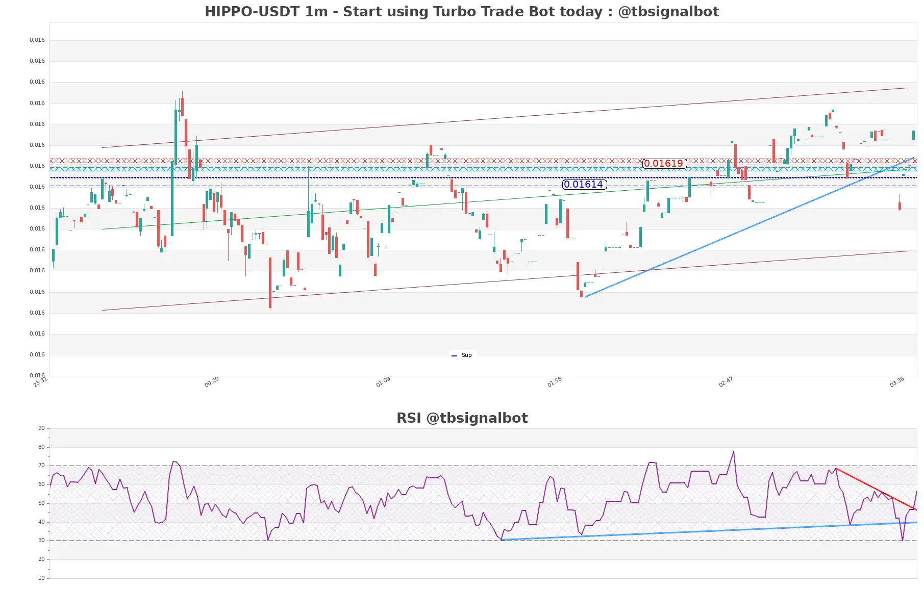 HIPPO-USDT_1m