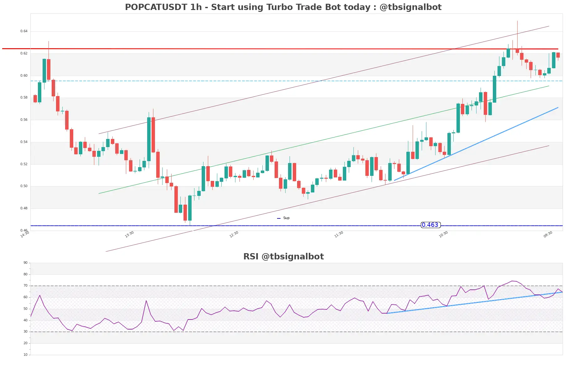 POPCATUSDT_1h