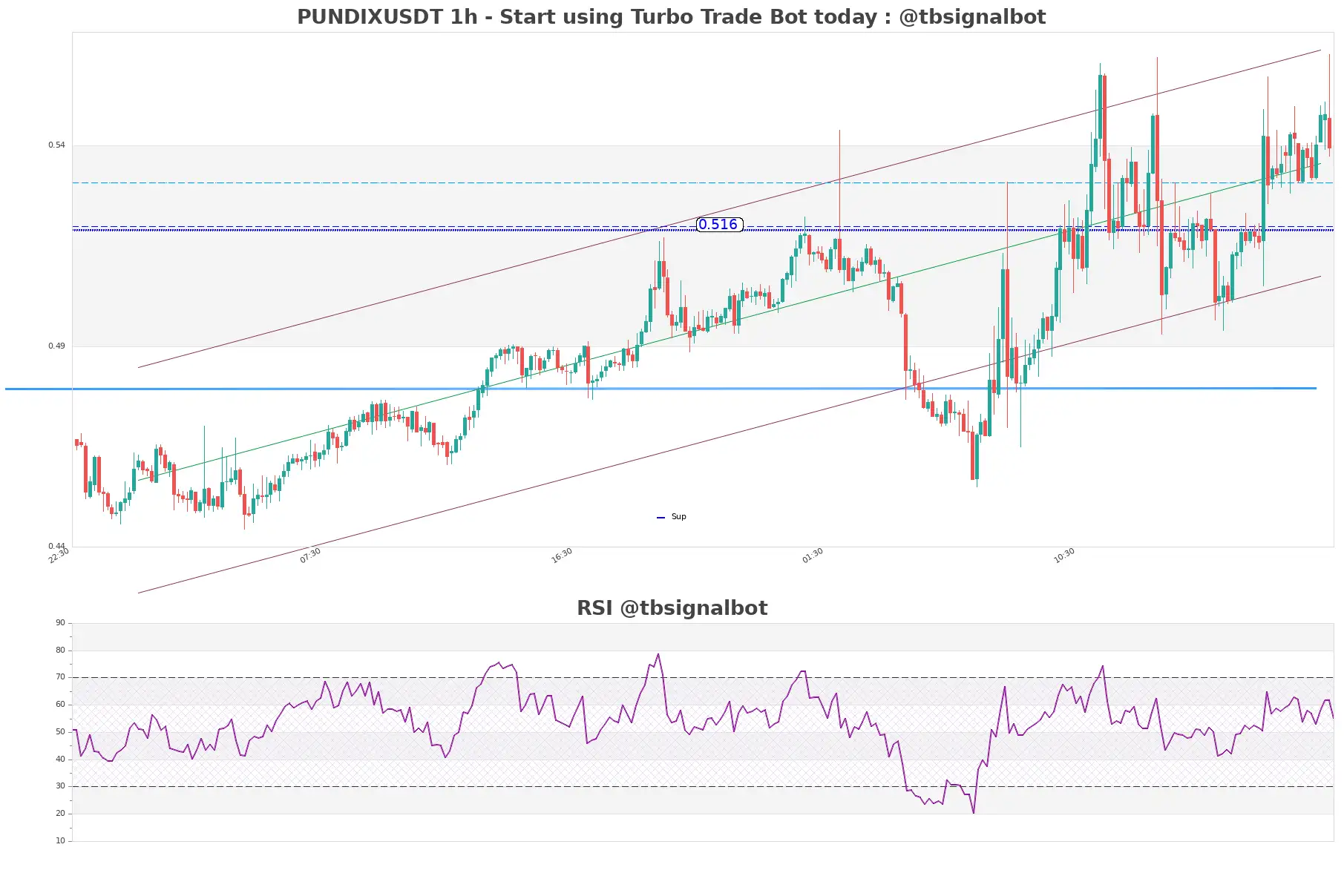 PUNDIXUSDT_1h