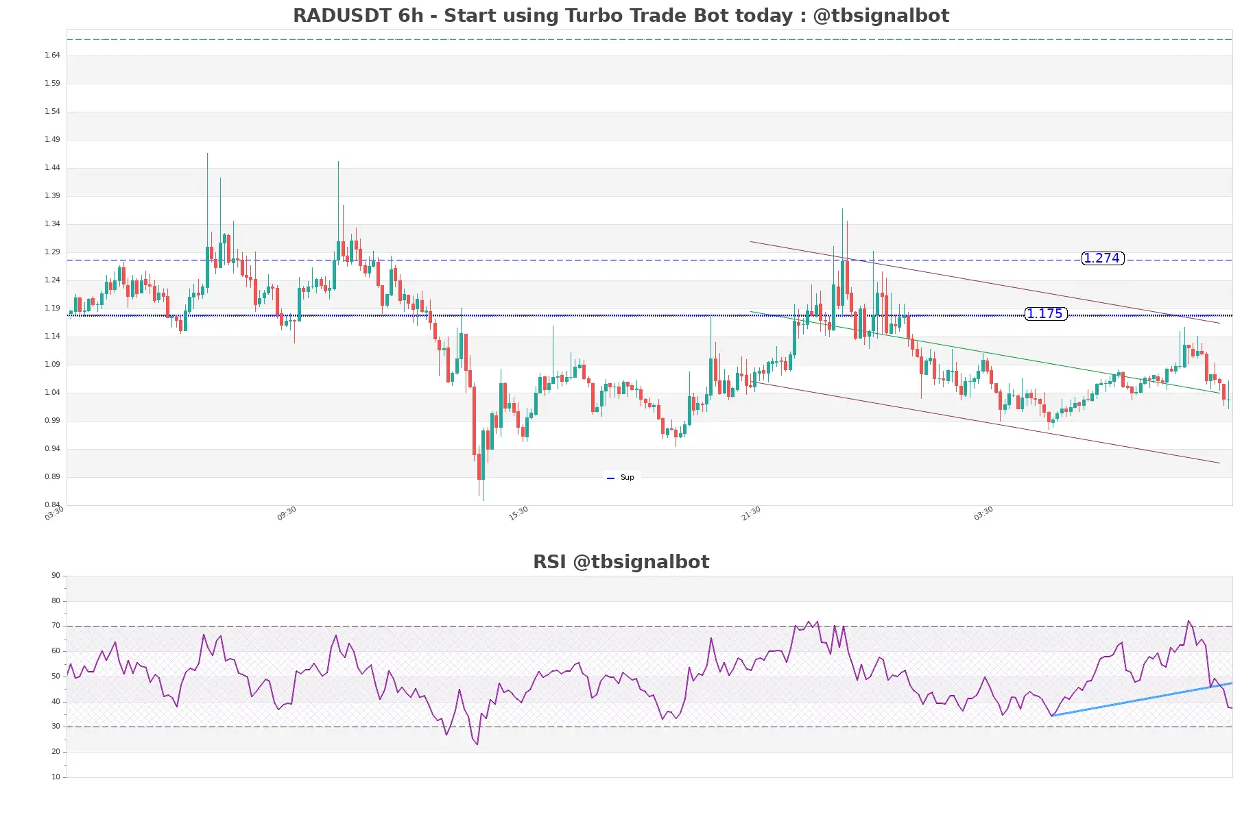 RADUSDT_6h