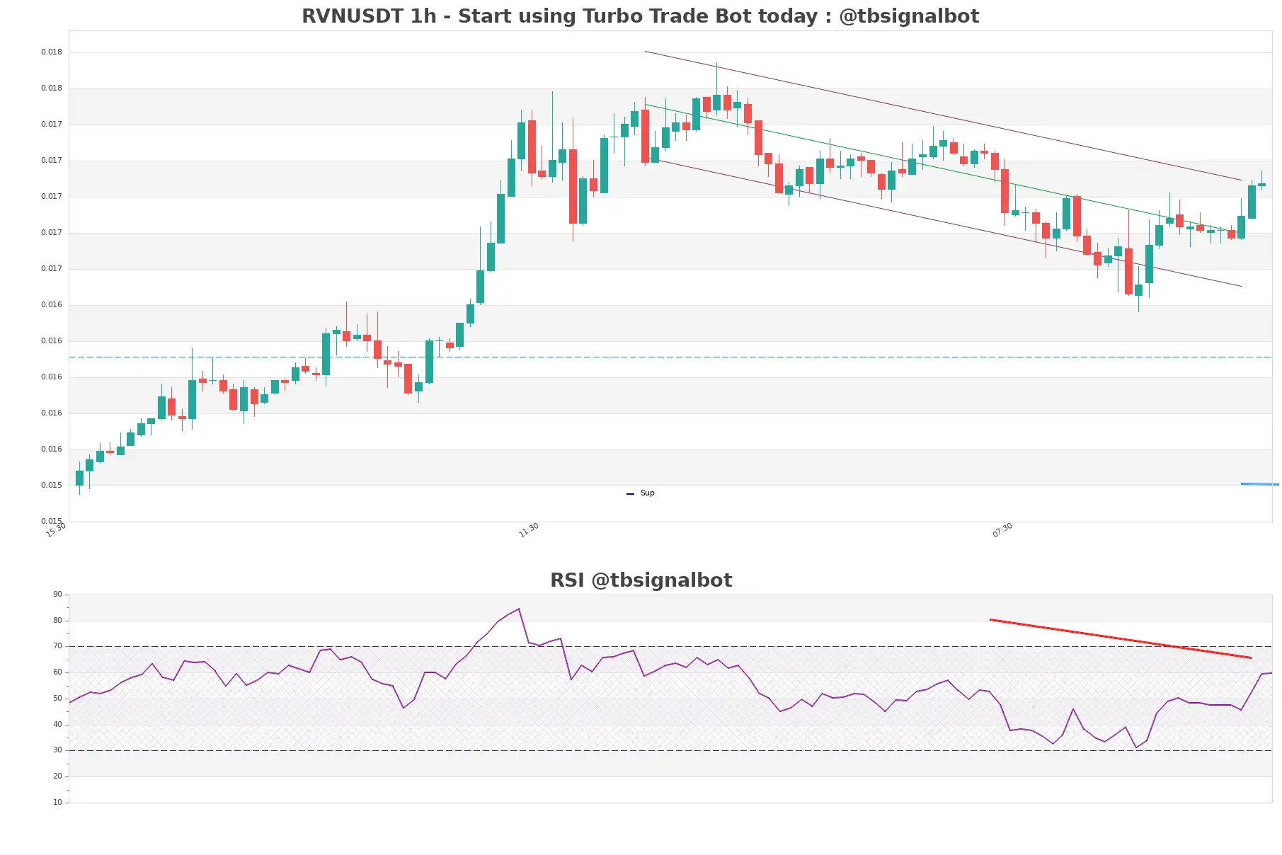 RVNUSDT_1h