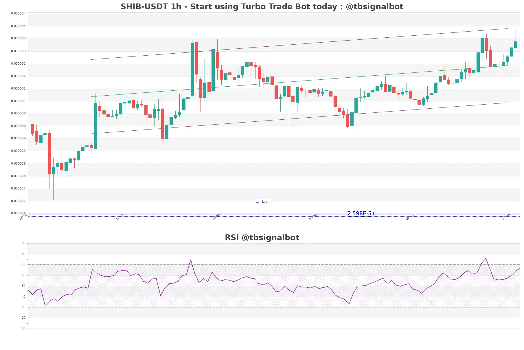 SHIB-USDT_1h